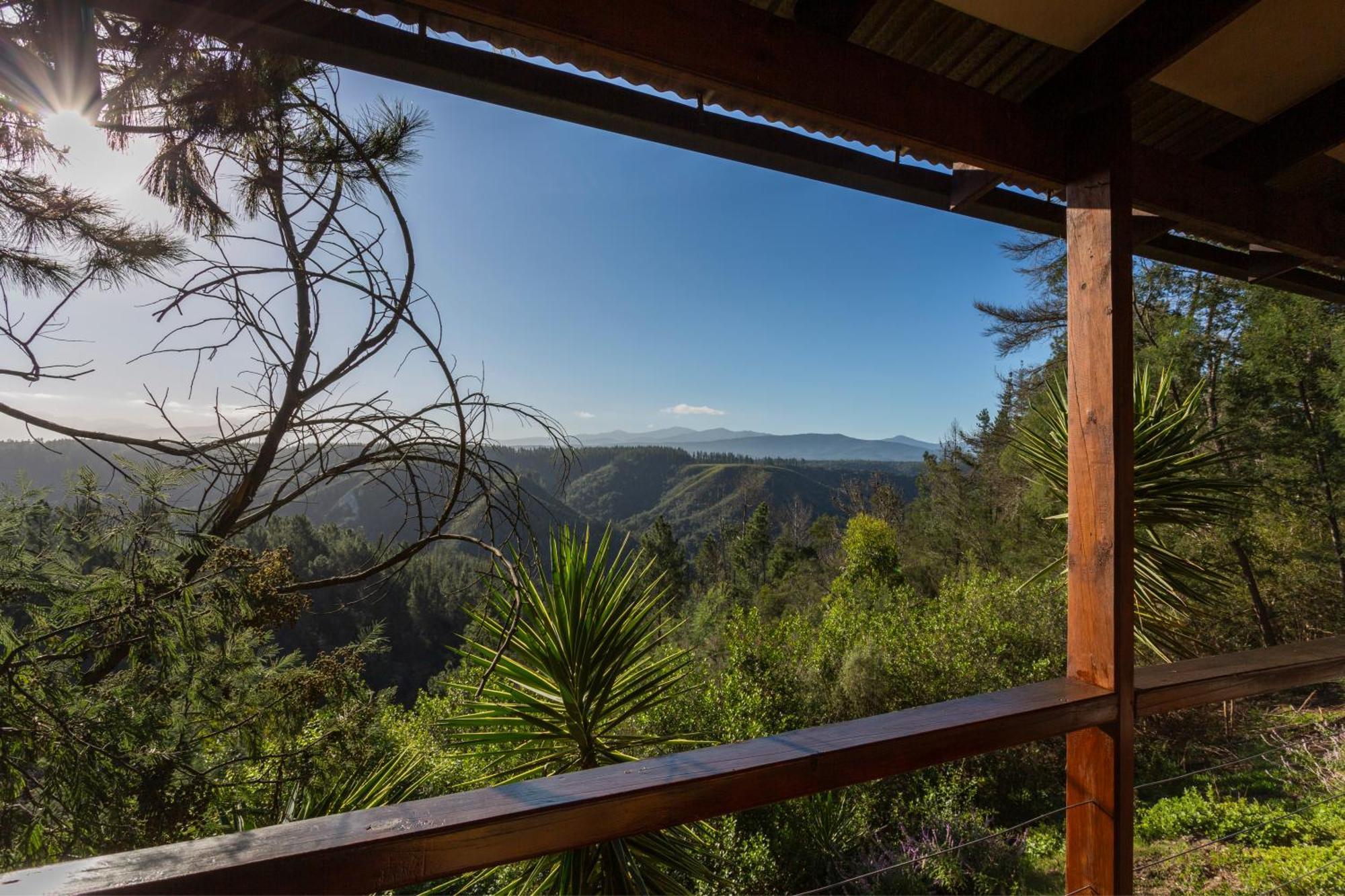 Forest Valley Cottages Knysna Zewnętrze zdjęcie